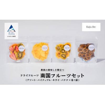 ふるさと納税 小松市 KajuRe 南国フルーツセット 4種 ドライフルーツ(アソート パイン キウイ バナナ)