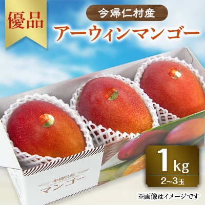 
                  ＜先行受付・2026年6月から順次発送＞山城フルーツ園のアーウィンマンゴー優品1kg【1372428】
                