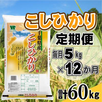 ふるさと納税 大網白里市 【毎月定期便】コシヒカリ 精米 5kg (5kg×1袋)全12回