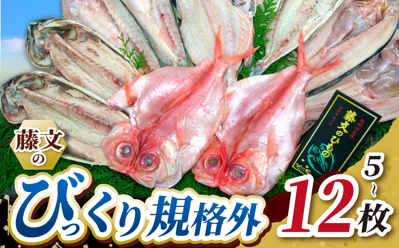 
                  藤文の「びっくり規格外」干物 ひもの 海鮮 かいせん かます さば 金目鯛 特大 金目 あじ ほっけ ギフト 御中元 御歳暮 伊豆  静岡県 西伊豆町
                