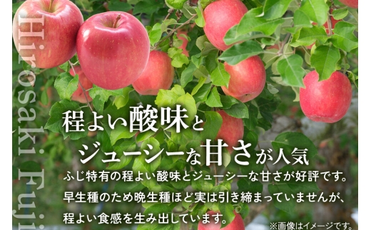【26年10月発送】りんご ひろさきふじ 葉とらず【訳あり】約5kg 家庭用 青森県 弘前市 果物 フルーツ 林檎 リンゴ くだもの 不揃い 規格外 [産地直送 アップル おいしい 果実 美味 甘い 