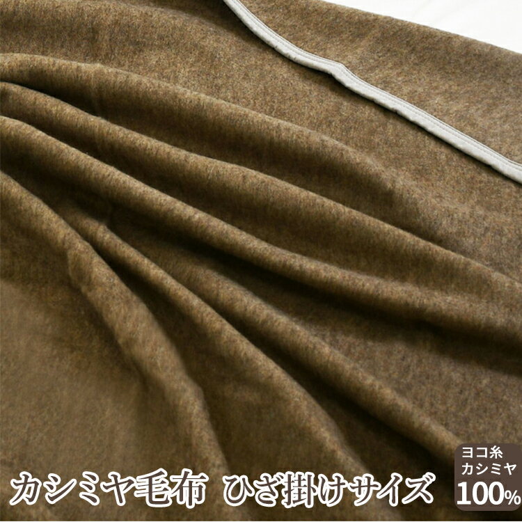 【ふるさと納税】カシミヤ毛布 ひざ掛けサイズ｜ブランケット [2163]