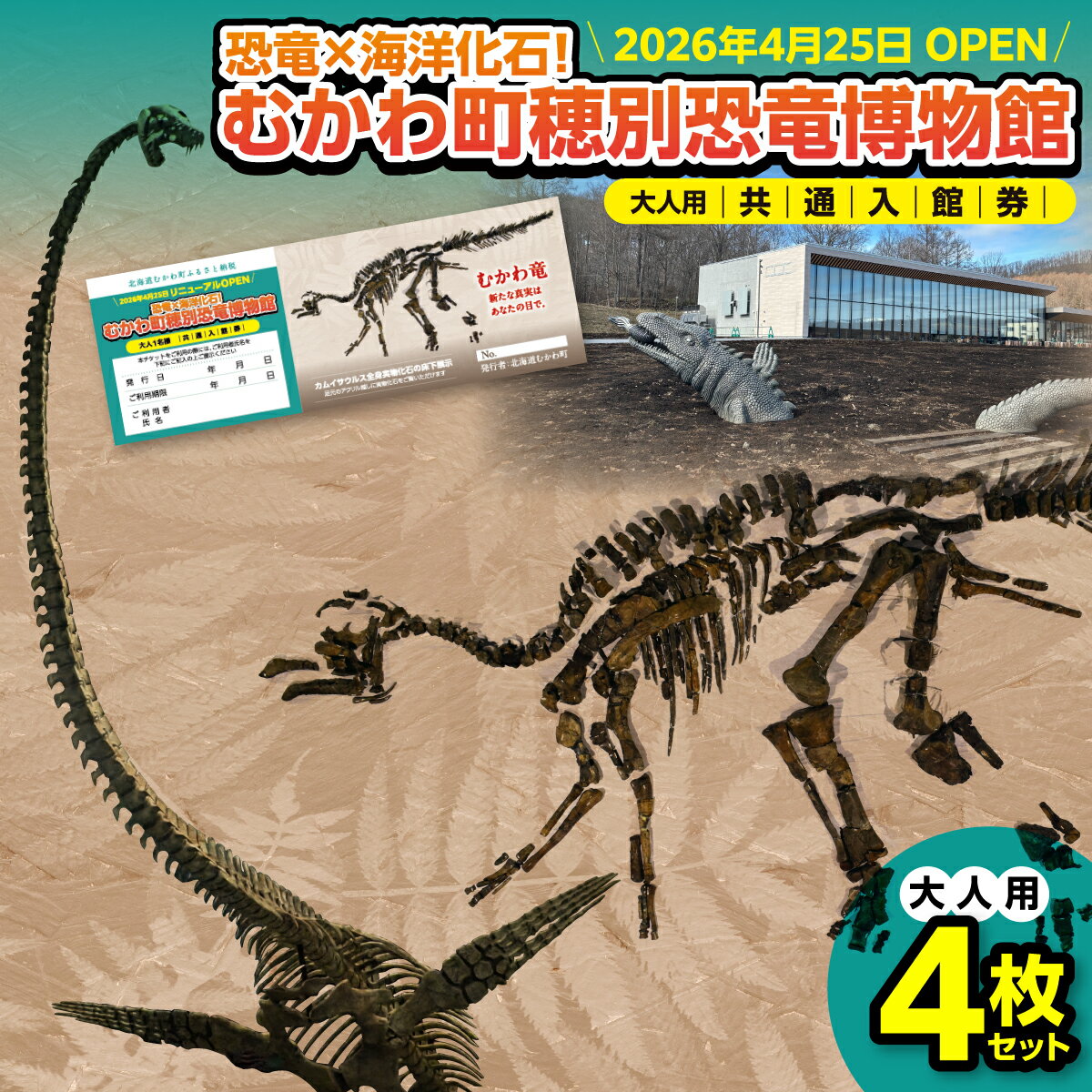 【ふるさと納税】【令和8年4月25日OPEN】恐竜×海洋化石！むかわ町穂別恐竜博物館 共通入館券　大人用4枚セット 【 むかわ町穂別恐竜博物館 共通入館チケット カムイサウルス むかわ竜 恐竜館 海洋化石館 北海道 観光チケット 家族旅行 レジャー 】 MKWAM001