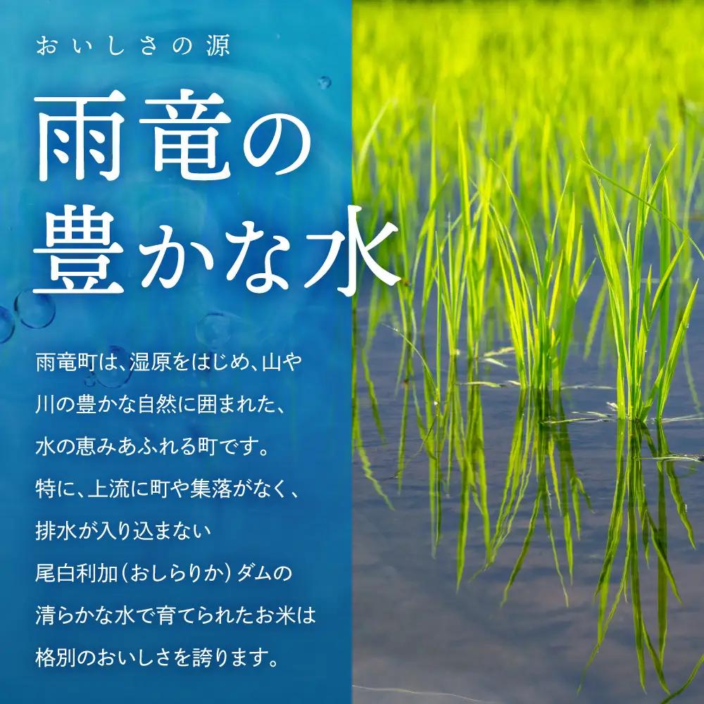 令和7年産 金王冠 精米 雨竜町ななつぼし 北海道 5kg