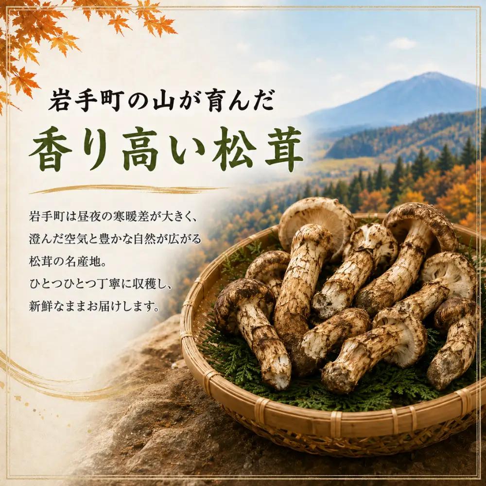 【先行予約】松茸 訳あり 500g 岩手町産 松茸