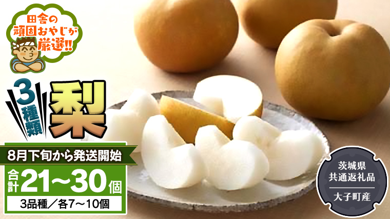梨 3種 セット 【2025年8月下旬より発送開始】 （茨城県共通返礼品 [梨]：大子町産） 田舎の頑固おやじが厳選！梨 3種 セット 【2025年8月下旬より発送開始】 （茨城県共通返礼品 [梨]：大子町産） 田舎の頑固おやじが厳選！ なし 新高梨 和梨 フルーツ 果物 くだもの 高糖度 ギフト 茨城