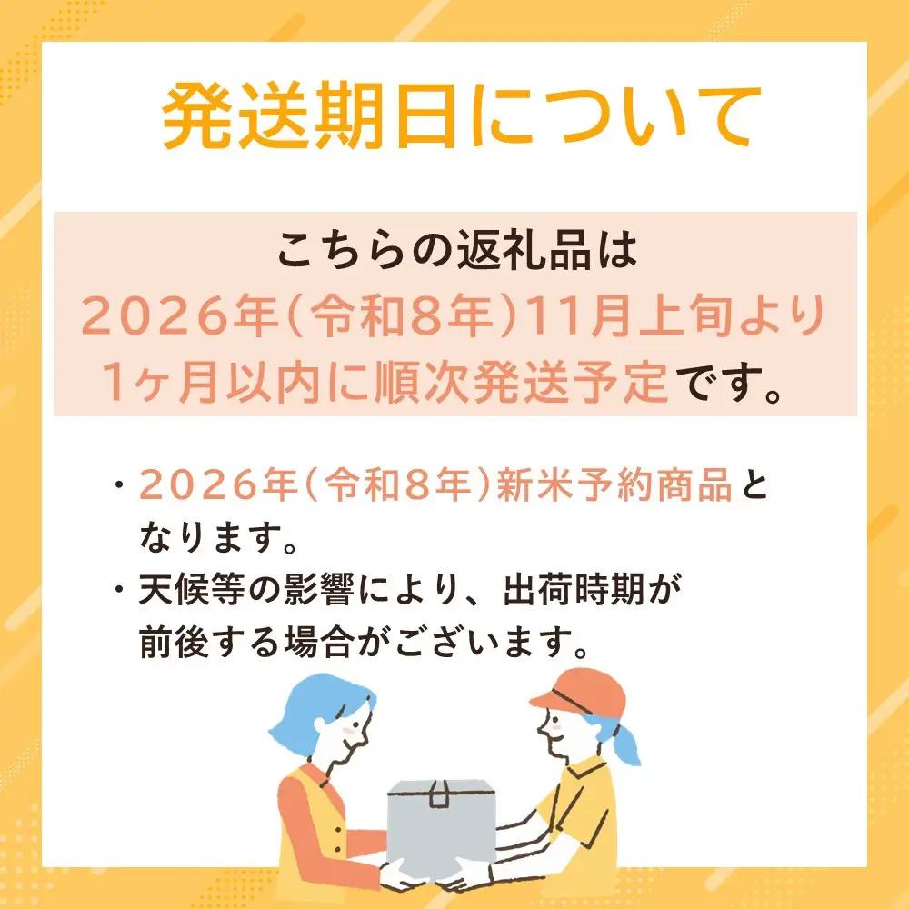 【令和8年 新米予約 全3回定期便】南魚沼産コシヒカリ 無洗米10kg×3回  | 米