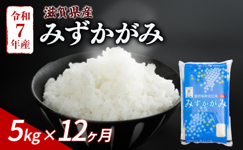 
                  みずかがみ 5kg 12ヶ月定期便 令和7年産 米 こめ ご飯 米 定期便 12回定期便 12か月定期便 12回 12か月 5キロ 令和7年 おすすめ 滋賀 彦根
                