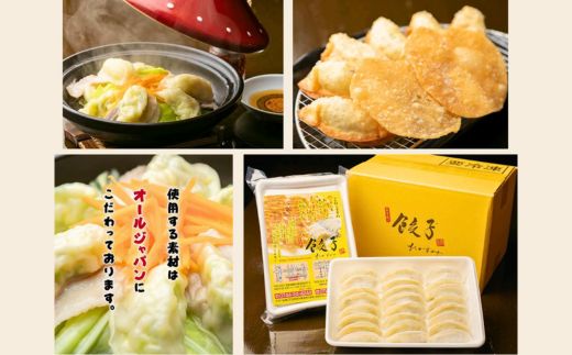 たかすみ 冷凍生餃子96個