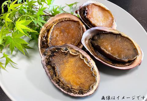 【日本料理えのもと】《特選》天津小湊産（鴨川市）「煮鮑（煮貝）」房州赤あわび中サイズ２個 [0035-0004]