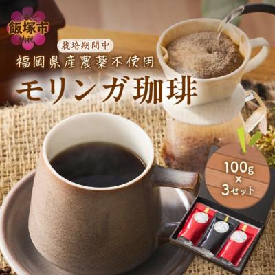 ふるさと納税 飯塚市 福岡県産モリンガ珈琲