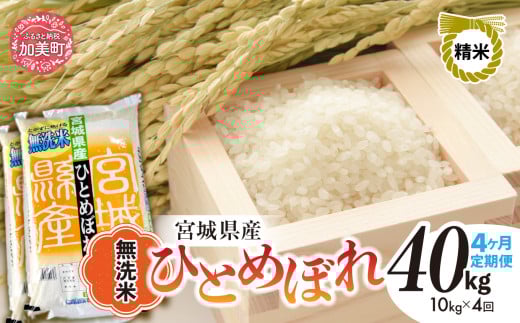 【 4回 定期便 】無洗米 令和7年度産 宮城 ひとめぼれ 計 40kg （ 10kg × 4回） ｜ 菅原精米工業 宮城県 加美町 sw-hb10-mu-t4-r7 ｜ ヒトメボレ 米 コメ ごはん お米