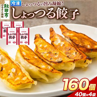 ふるさと納税 秋田市 秋田名物 しょっつる餃子 40個入×4袋 秋田のしょっつるを使用|15_mmo-010401