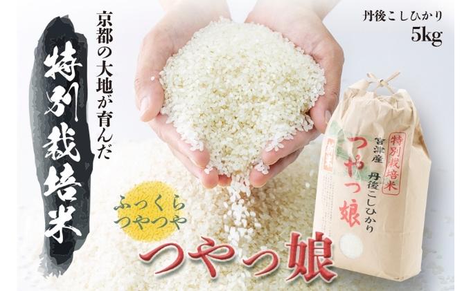【令和5年産】 特別栽培米 つやっ娘米 5kg[ お米 米 白米 ]