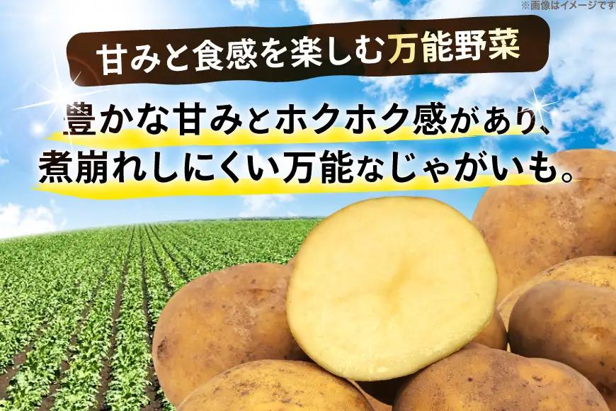 じゃがいも きたむかい 5kg [けんぶちVIVAマルシェ 北海道 剣淵町 14656394]