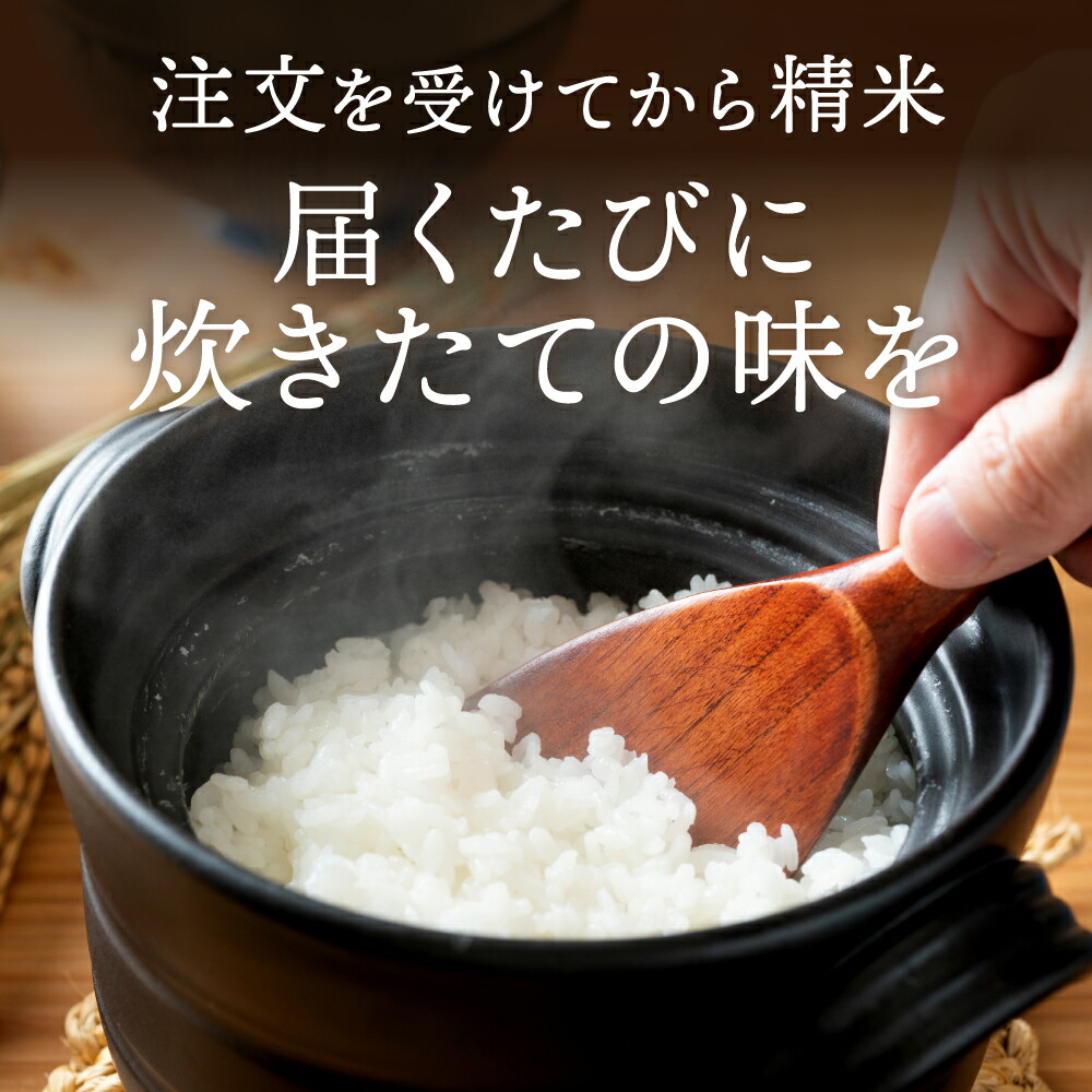 新鮮精米 丹波産コシヒカリ 25kg こしひかり お米 白米 ごはん 米 こめ コメ 25キロ 大容量 業務用 まとめ買い 産地直送 お取り寄せ 兵庫県 丹波市