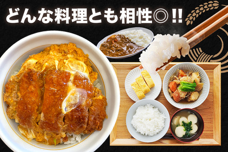 令和7年産にじのきらめき 精米 10kg 3ヵ月 定期便 (合計30kg) 米 FH-021