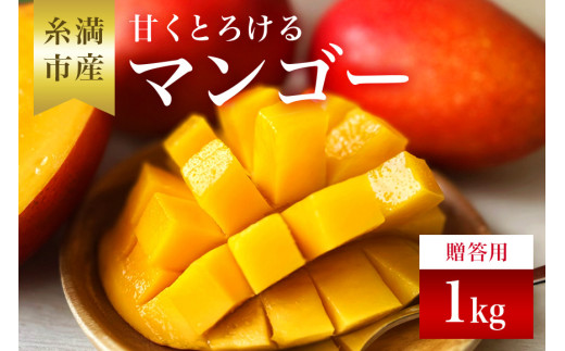 【 先行予約 2026年 発送 】 かねよしマンゴーの甘くとろける マンゴー 1kg ( 贈答用 ) 沖縄県産 アップルマンゴー アーウィンマンゴー 1キロ 国産 果物 くだもの フルーツ 完熟 沖縄 お取り寄せ ギフト 贈答品 贈り物 産地直送 農家直送 糸満市