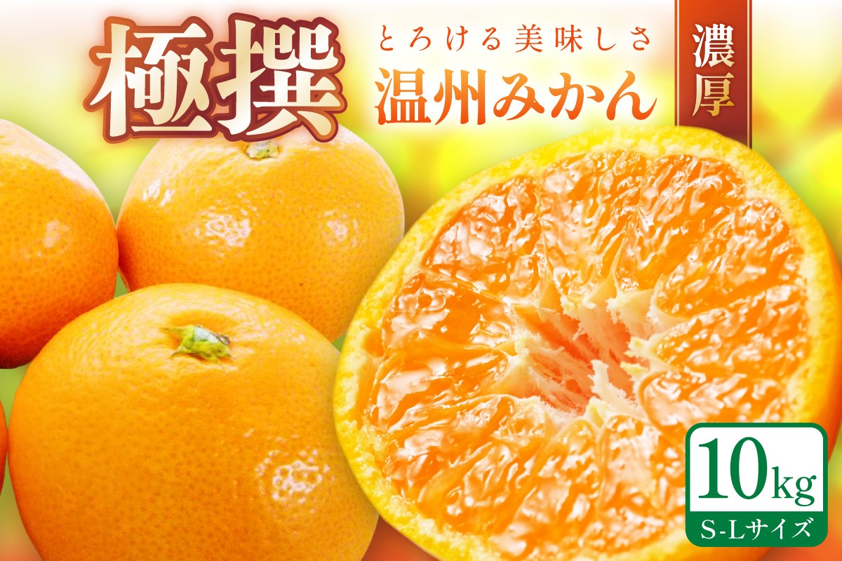 
                  「濃厚な味のとろける美味しさ」 温州みかん 10kg 《先行予約》みかん ミカン  サイズ混合 Ｓ～Ｌサイズ 甘い 果物 フルーツ 濃厚 産地直送 期間限定 デザート 贈り物  贈答
                