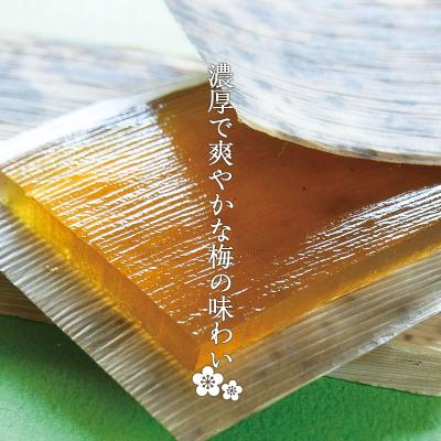 ふるさと納税 山形市 乃し梅(のし梅) 20枚入 FZ20-906 |  | 01