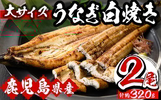 ＜期間・数量限定＞国産うなぎ(鹿児島県産うなぎ)白焼き(大サイズ2尾・約320g) 国産 国産魚 九州産 鹿児島県産 魚 魚介 鰻 うなぎ ウナギ 白焼き 惣菜 冷凍【南竹鰻加工】【B-351H】