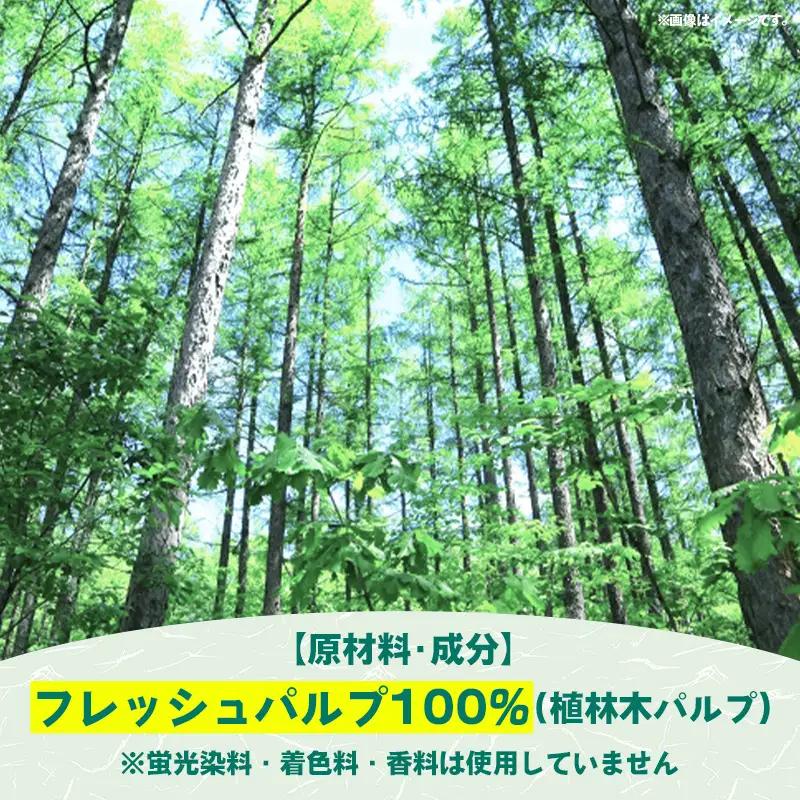 ティッシュペーパーソフトパック　４００枚（２００組）６０パック -  ティッシュ ペーパー 日用品  備蓄 防災 ストック 熊本県 甲佐町【ZC】【価格改定XA】