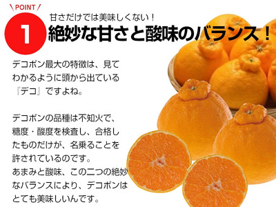 熊本県産デコポンと熊本市産青島みかんセット【2026年1月下旬～2月下旬発送予定】 デコポン みかん 蜜柑 果物 フルーツ セット 熊本市産