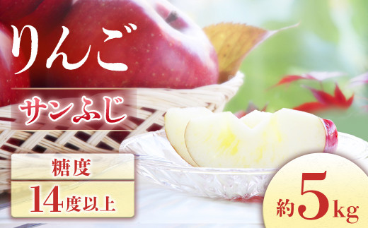 【2026年発送先行予約】りんご サンふじ 約5kg（10～20玉）※2026年11月下旬～12月中旬発送予定※　林檎｜リンゴ｜長野県｜南信州｜フルーツ