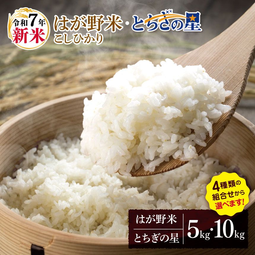 【ふるさと納税】お米 こしひかり とちぎの星 選べる 新米 白米 5kg 10kg ｜ 2025年 令和7年 JAはが野がお届け 真岡産 コシヒカリ 白米 おにぎり シャリ 精米 おこめ 米 ご飯 ごはん ライス コメ 真岡市 栃木県 送料無料