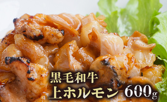 
                  黒毛和牛 ホルモン 600g 旨辛タレ漬け 焼肉用 国産牛 味付けホルモン 焼き肉 BBQ 冷凍
                
