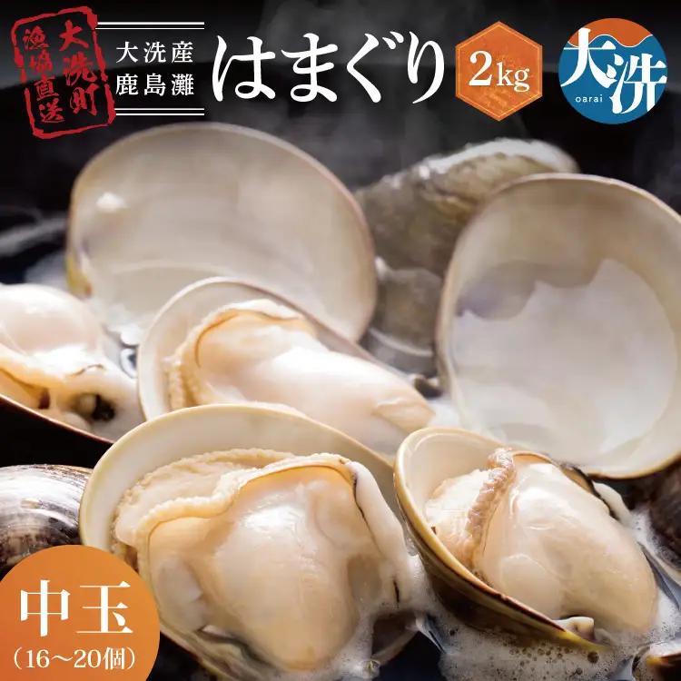 大洗産鹿島灘天然はまぐり 2㎏ 冷蔵 ハマグリ 蛤 貝 砂抜き処理 大洗産 天然 はまぐり_BQ009