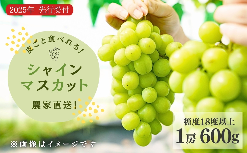 
            【先行予約】農家直送【糖度18度以上】シャインマスカット（1房600g）皮ごと食べられる 種無しぶどう 甘い ぶどう 果物 贈答品 ギフト 新潟県 出雲崎町
          