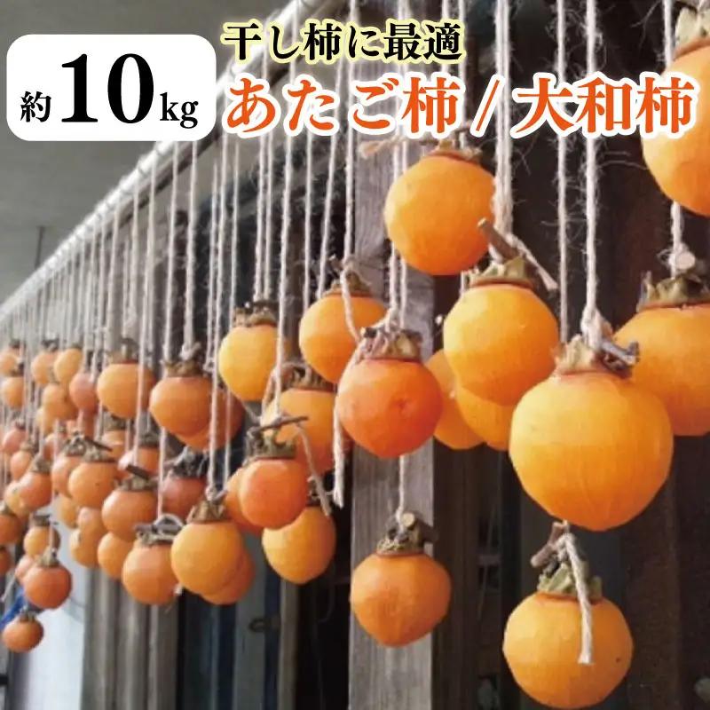 柿 10kg かき 干し柿に最適 あたご柿 大和柿