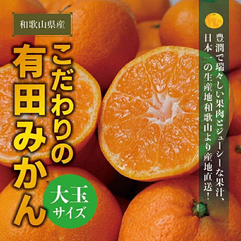 【ふるさと納税】 みかん 約7.5kg 約10kg 大玉 3L以上 こだわりの有田みかん ※2026年11月〜12月頃に順次発送 / 蜜柑 柑橘 果物 くだもの フルーツ 人気 旬 10,000円 甘い 農家直送 有機質肥料100%光センサー 和歌山県 串本町 送料無料