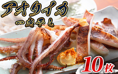 【伊豆漁協加工・直送！】アオリイカ 一夜干し 10枚　【 イカ イカ イカ イカ イカ イカ 】