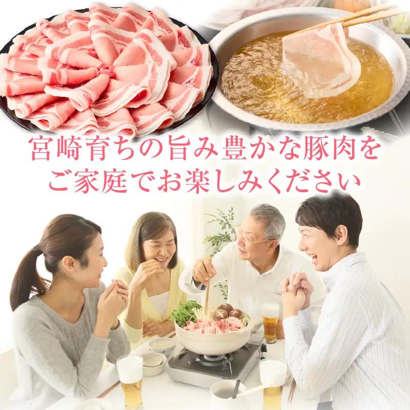 宮崎県産豚4.5kg 満載Aセット