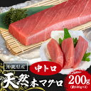 【ふるさと納税】 天然マグロ 中トロ 200g (約100g×2p) まぐろ 国産 沖縄県産 マグロ 天然まぐろ 本マグロ 沖縄 水揚げ 旬 鮪 鮮度抜群 冷凍 真空パック 柵 小分け 切り落とし 本まぐろ 瞬間冷凍 家庭用 お試し お刺身 海鮮丼 天然マグロ 鉄火丼 天然鮪 糸満市 15000円