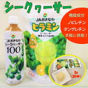 【ふるさと納税】【無添加】シークヮーサー100（500ml×1本）＋顆粒タイプ ヒラミン（3g×30本）