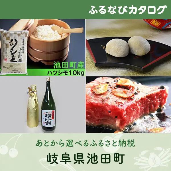 【有効期限なし！後からゆっくり特産品を選べる】岐阜県池田町カタログポイント