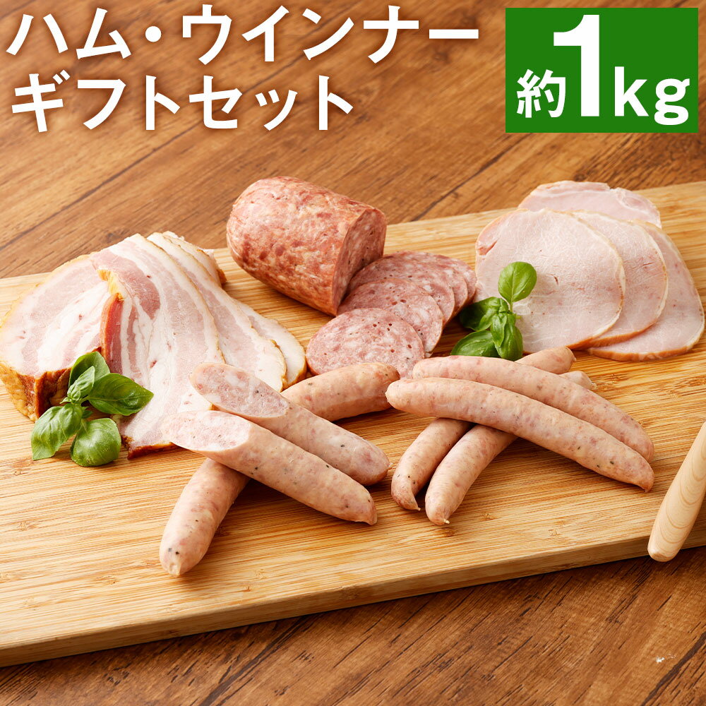 【ふるさと納税】ハム工房TONGTONG ハム・ウインナーギフトセット 合計1010g 5種類 約1kg 食べ比べ 豚肉 セット ベーコン ハム ウインナー ソーセージ 金TONG 九州産 国産 熊本県産 冷凍 ギフト 贈りもの 送料無料《90日以内に出荷予定(土日祝除く)》