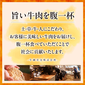【自社農場和牛】黒毛和牛 赤身 焼肉用 800g（国産 黒毛和牛 牛肉 和牛 赤身 モモ ウデ 焼肉 BBQ 限定）