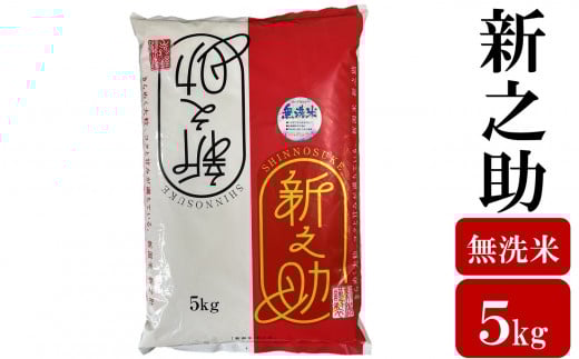 令和7年産米【五ツ星お米マイスター厳選】新之助 無洗米 5kg[Y0565]