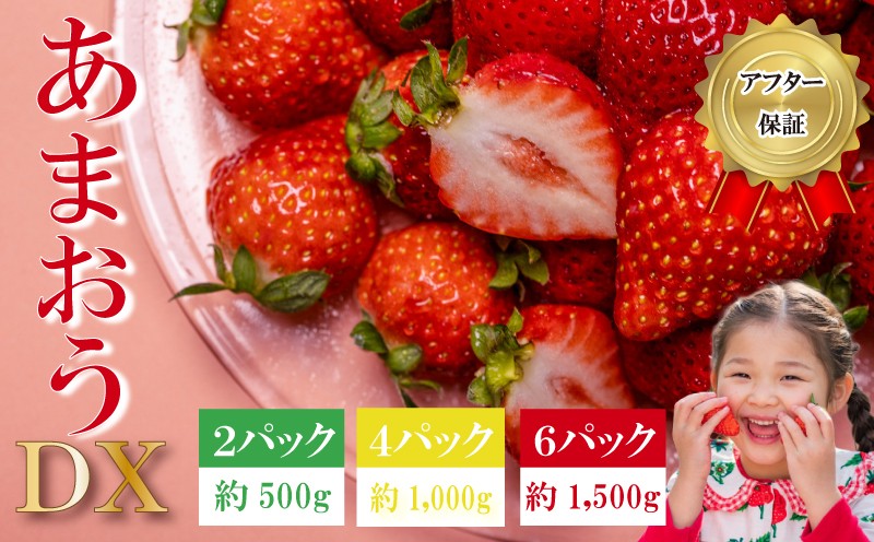 
                  【先行予約】 《アフター保証付き》選べる 2026年12月、2027年2、3月発送  約500g~1.5kg(約250g×2~6P) 先行予約 福岡県産 いちご あまおう ichigo Strawberry 冷蔵 小分け いちご 苺 イチゴ フルーツ 果物 スイーツ くだもの 冬 春 旬 福岡 九州 福岡県 川崎町 数量限定 期間限定
                