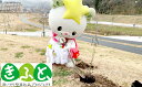 【ふるさと納税】【思いやり型返礼品】みんなのゆめちゃんハウスが植樹した桜の1年間維持管理費 【 寄附 協賛 思いやり 桜 維持 管理 岩手 陸前高田 AidTAKATA たかたのゆめちゃん 】★