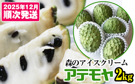 【2025年12月中旬から順次発送】アテモヤ 2kg “森のアイスクリーム”とも呼ばれる希少なフルーツ