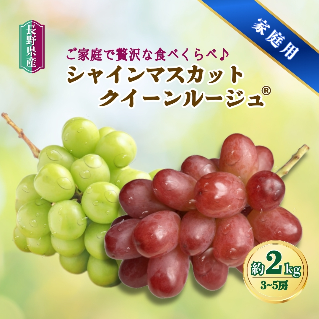 【2026年先行予約】家庭用　シャインマスカット＆クイーンルージュ®︎約2kg(3~5房)｜ 果物 フルーツ 白ぶどう 赤ぶどう 葡萄 ブドウ 種無し 種なし 皮ごと 千曲市 長野県 信州