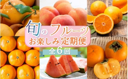 【2・4・6・8・10・12月 偶数固定月発送 全6回】和歌山産 旬のフルーツ お楽しみ 定期便 【魚鶴商店】【UT113w】