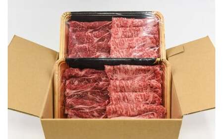 【令和7年3月出荷分】肥後の赤牛 すき焼き用 500g