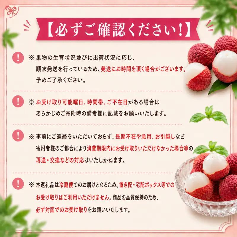 国産ライチ お試し160～170g【ライチ】