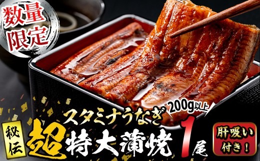 【数量限定】鹿児島県産！秘伝の特上スタミナうなぎ超特大蒲焼き1尾＜200g以上！＞肝吸い付き！ a1-150